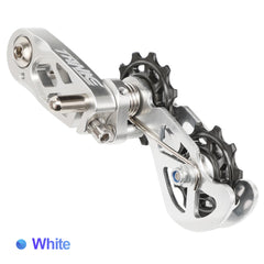 Single-Speed Chain Tensioner and Freewheel